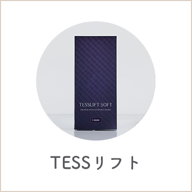 tesslift(テスリフト)