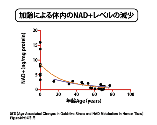 加齢による体内のNAD＋レベルの減少